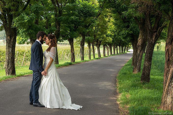 Servizio fotografico per matrimonio con sposi in viale alberato